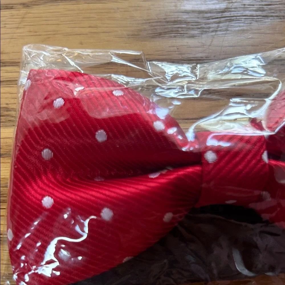 Sky Red and White Polka Dot Kids Bow Tie